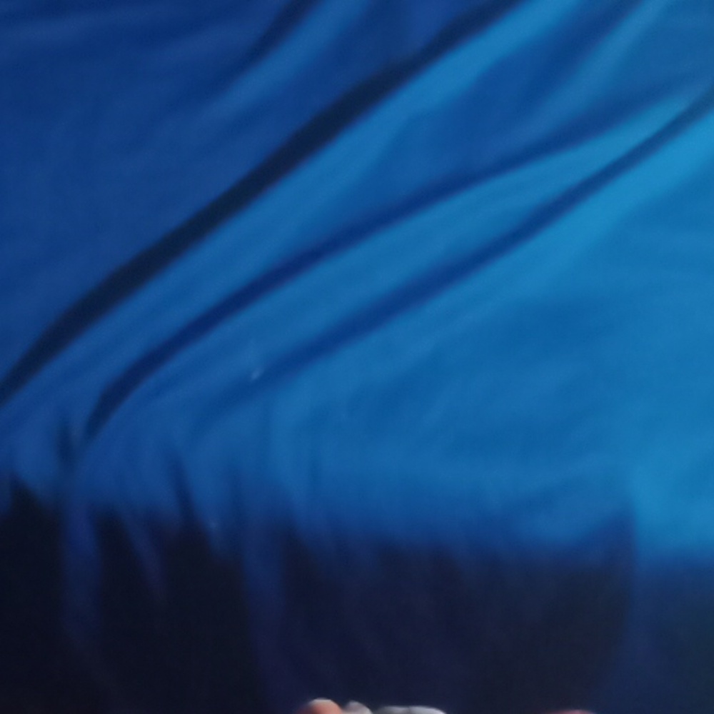 Men active wear sport Russell